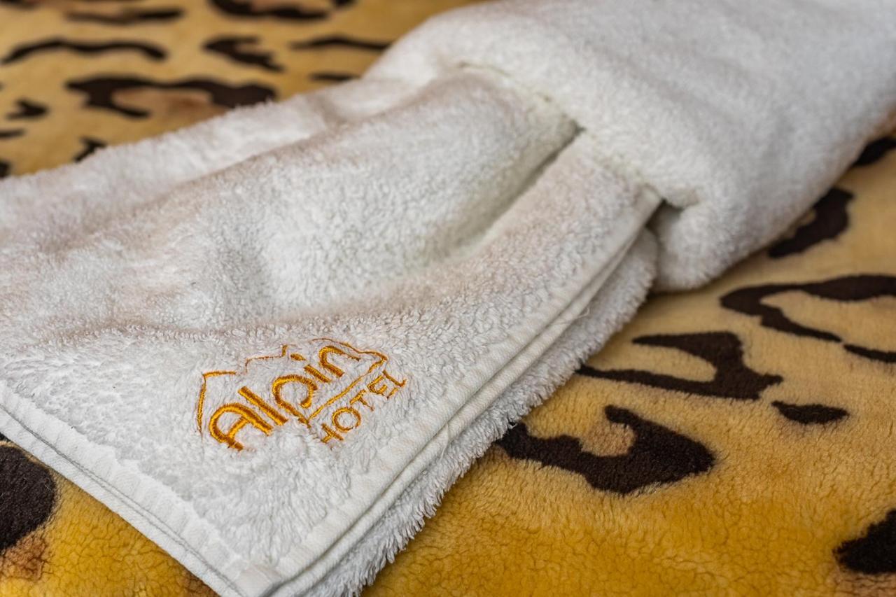 Hotel Alpin